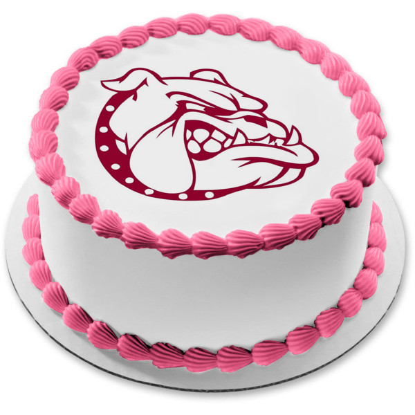 Customize Any Sports team mascot wedding cake hot topper -- circle clear base