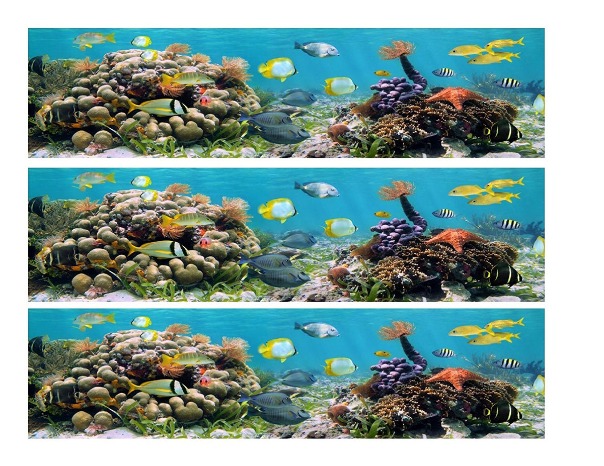 Ocean Life Scenery Fish Coral Edible Cake Topper Image ABPID52521