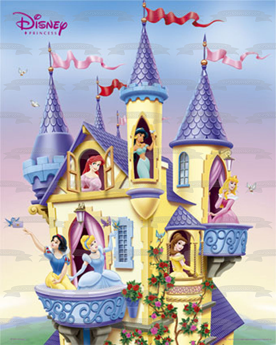 Princess Belle Ariel Cinderella Snow White Aurora and a Castle Edible – A  Birthday Place