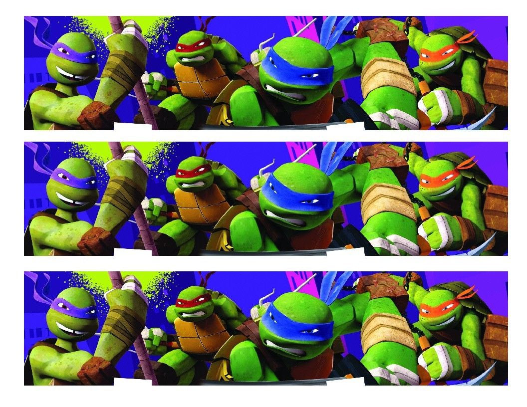 Teenage Mutant Ninja Turtles Donatello Michaelangelo Leonardo and