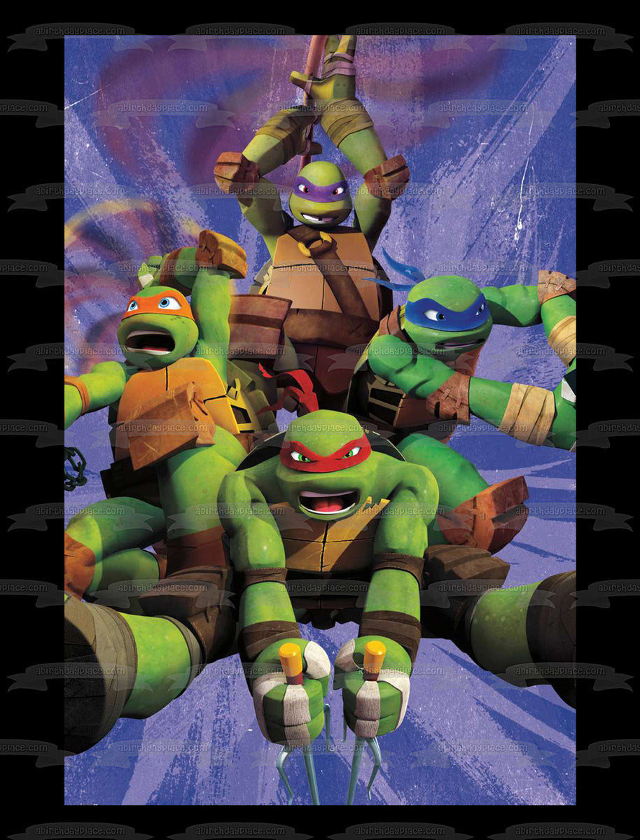 Teenage Mutant Ninja Turtles Donatello Michaelangelo Leonardo and Raph – A  Birthday Place