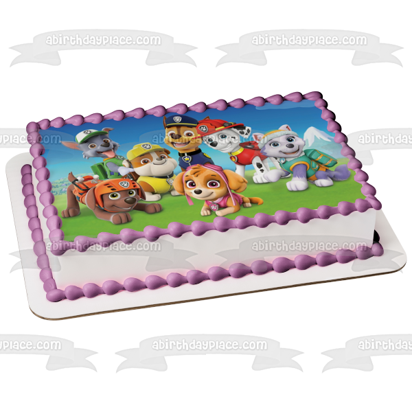 Paw Patrol Chase Rubble and Skye Edible Cake Topper Image ABPID00048