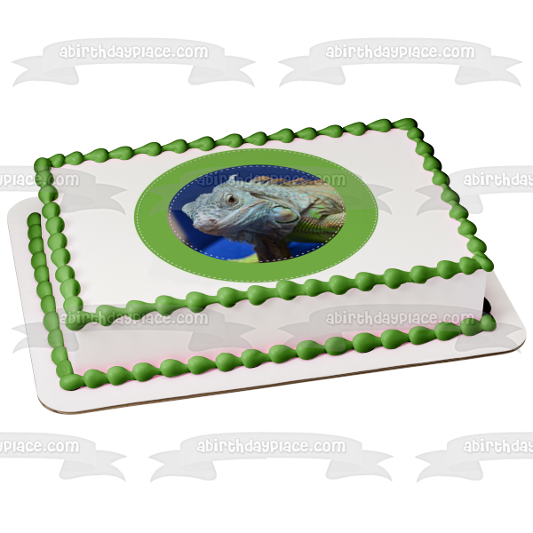 Iguana Herbivorous Lizard Green Edge Edible Cake Topper Image ABPID22307