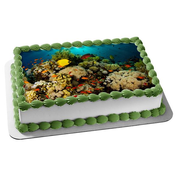 Ocean Life Scenery Fish Coral Edible Cake Topper Image ABPID52521