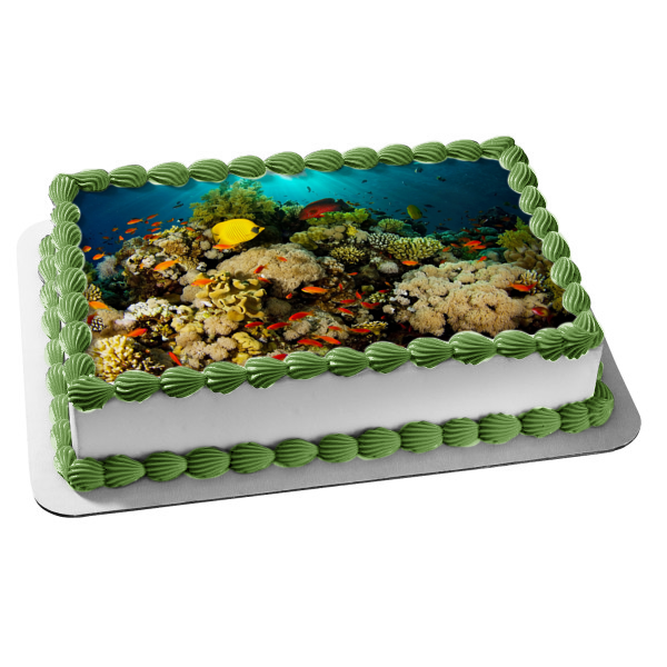 Ocean Life Scenery Fish Coral Edible Cake Topper Image ABPID52521 – A  Birthday Place