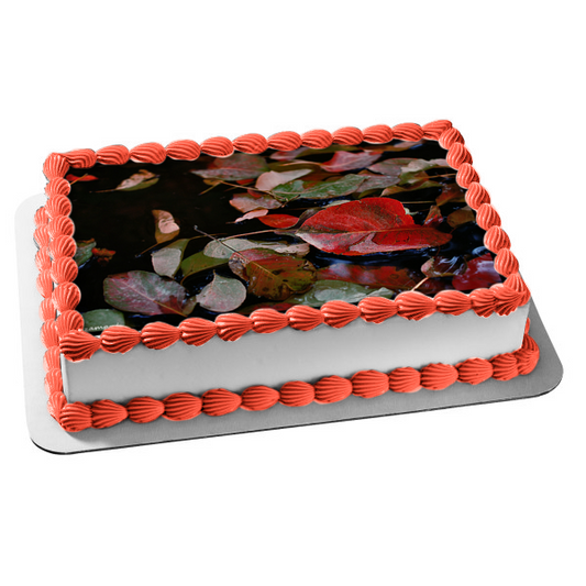 Fall Season Colorful Leaves on the Water Edible Cake Topper Image ABPID52549