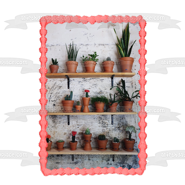 Plantas de cactus variadas en macetas Imagen de adorno comestible para pastel ABPID52552 