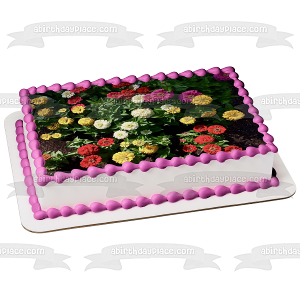 Zinea's Assorted Colors Edible Cake Topper Image ABPID52587