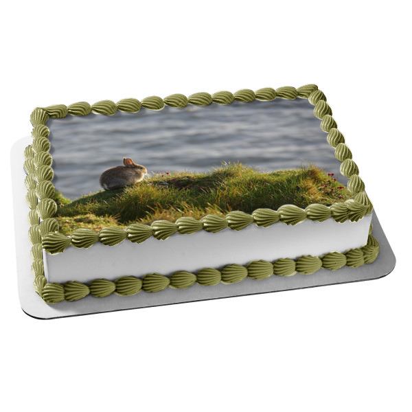 Bunny Rabbit Cliffside Nature Animal Edible Cake Topper Image ABPID52914