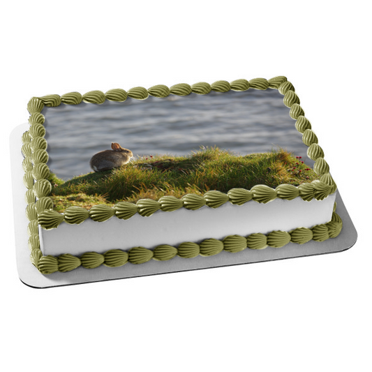 Bunny Rabbit Cliffside Nature Animal Edible Cake Topper Image ABPID52914