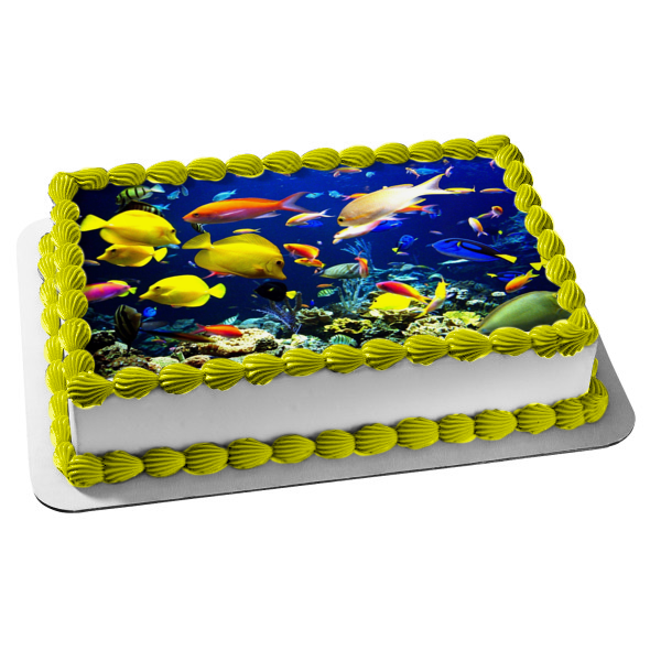 Fish Underwater Sea Life Tropical Fish Edible Cake Topper Image ABPID05132