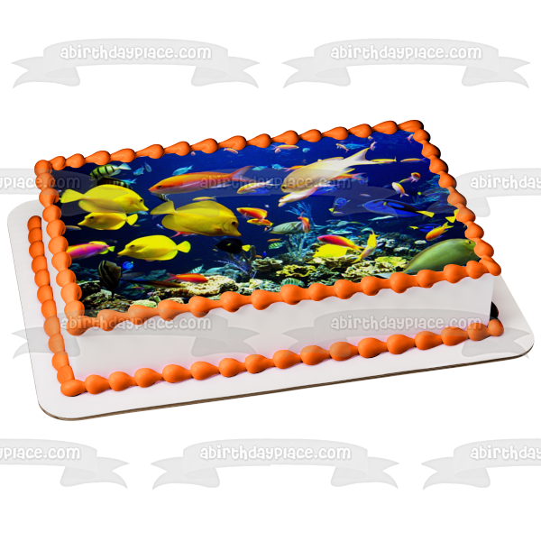 Fish Underwater Sea Life of Tropical Fish Edible Cake Topper Image ABP – A  Birthday Place