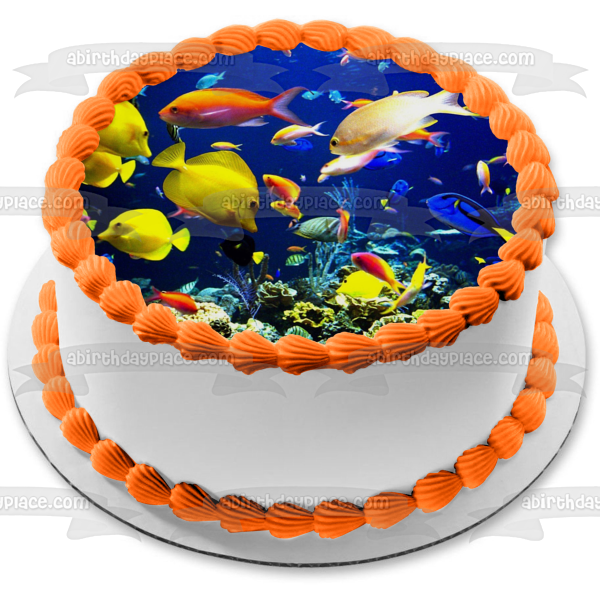 Fish Underwater Sea Life of Tropical Fish Edible Cake Topper Image ABPID05132