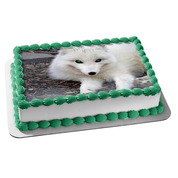 Artic Fox White Fox Wildlife Edible Cake Topper Image ABPID52921