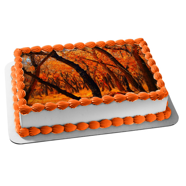 Fall Scenery Fall Colored Trees and Leaves Edible Cake Topper Image ABPID52923