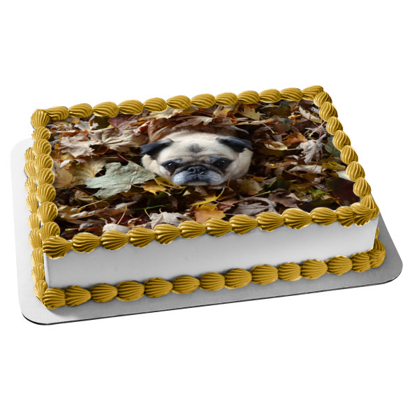 Pug Puppy In Leaf Pile Fall Season Edible Cake Topper Image ABPID52935