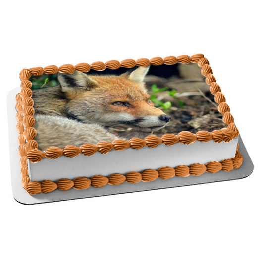 Wildlife Fox Edible Cake Topper Image ABPID52939