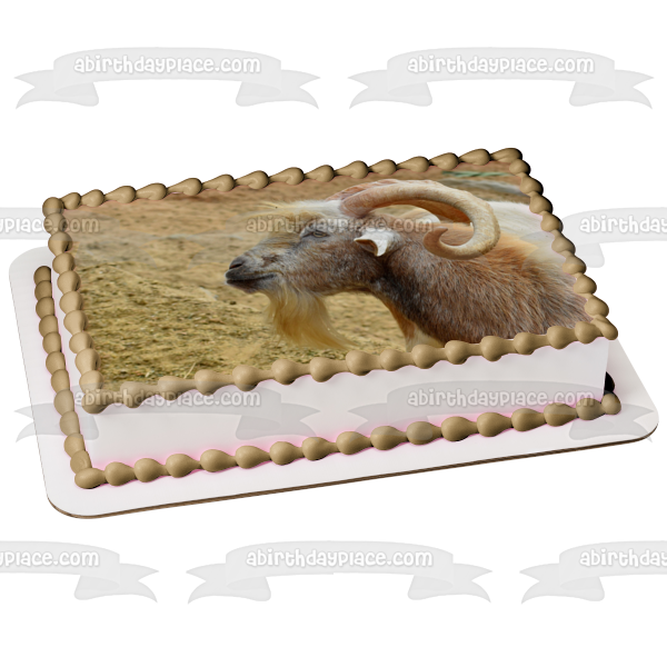 Happy Birthday Birthday Cake GIF - Happy Birthday Birthday Cake Goat -  Discover & Share GIFs
