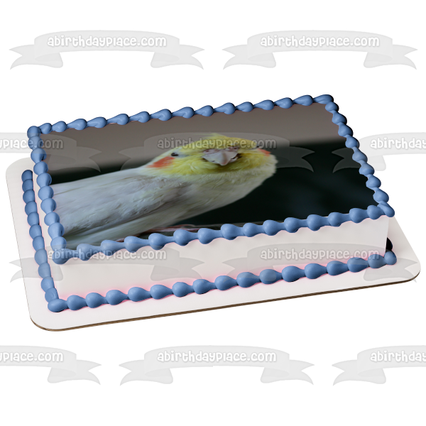 Imagen comestible para tarta con diseño de pájaro cacatúa y animal doméstico ABPID52948 