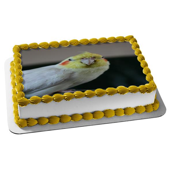 Imagen comestible para tarta con diseño de pájaro cacatúa y animal doméstico ABPID52948 