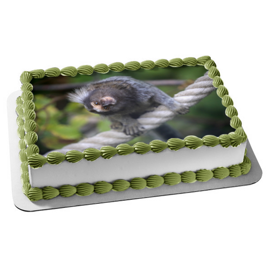 Imagen comestible para tarta con diseño de mono, animal, naturaleza, tití, vida silvestre, ABPID52985 