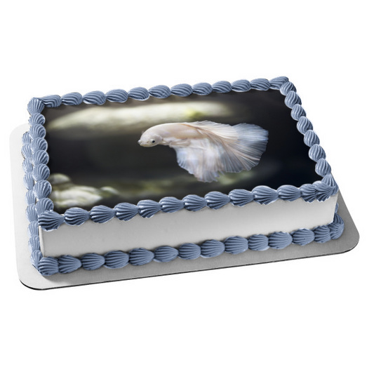 White Betta Fish Aquarium Animal Nature Edible Cake Topper Image ABPID52988