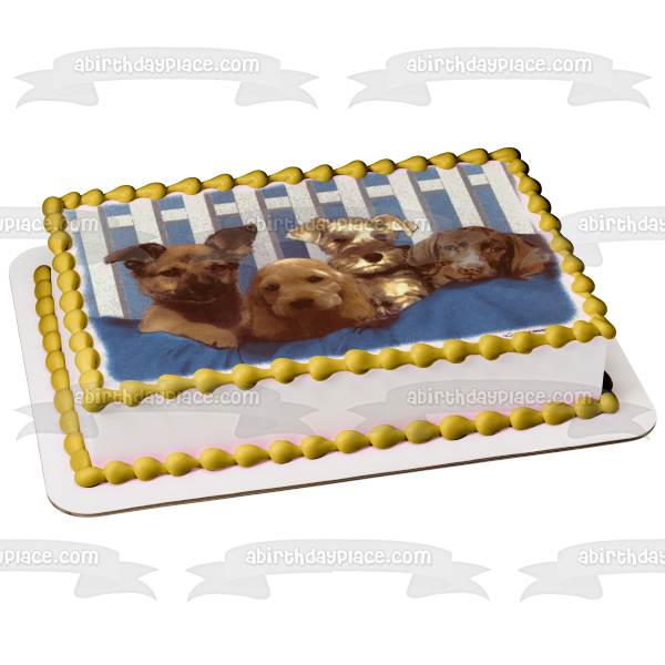 Puppies Black Lab Cocker Spaniel and a Schnauzer Edible Cake Topper Image ABPID03508