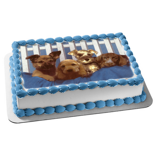 Puppies Black Lab Cocker Spaniel and a Schnauzer Edible Cake Topper Image ABPID03508