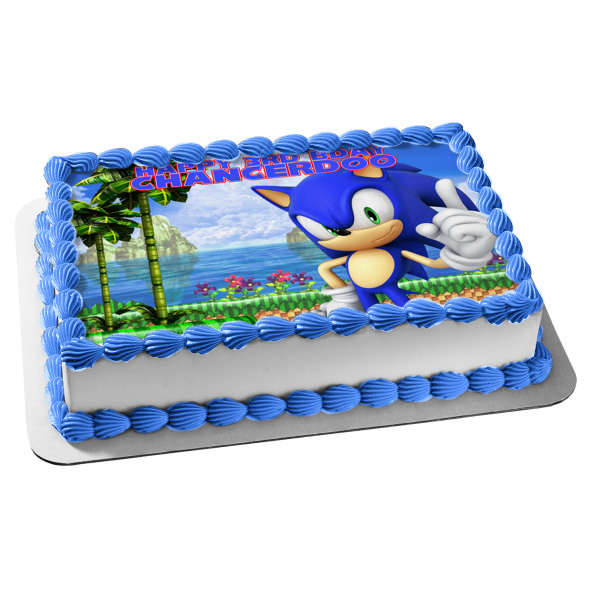 Sonic the Hedgehog Sega Island Video Game Edible Cake Topper Image ABPID52903