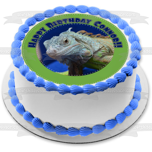 Iguana Herbivorous Lizard Green Edge Edible Cake Topper Image ABPID22307