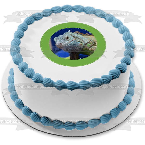 Iguana Herbivorous Lizard Green Edge Edible Cake Topper Image ABPID22307