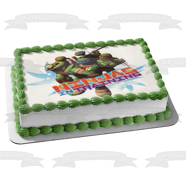 Teenage Mutant Ninja Turtles Tmnt Leonardo Donatello Raphael and Michelangelo Ninjas In Training Edible Cake Topper Image ABPID04696