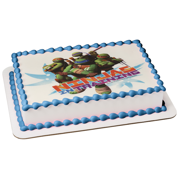 Teenage Mutant Ninja Turtles Tmnt Leonardo Donatello Raphael and Michelangelo Ninjas In Training Edible Cake Topper Image ABPID04696