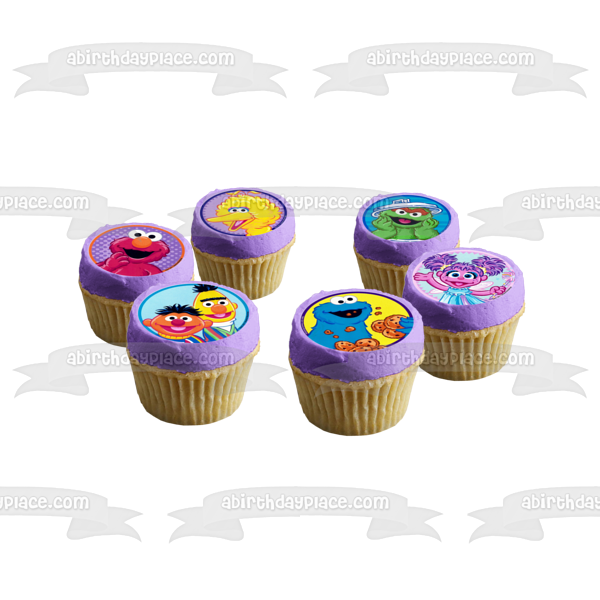 Sesame Street Elmo Oscar the Grouch Bert Ernie Cookie Monster Big Bird Abby Cadabby Edible Cupcake Topper Images ABPID03549