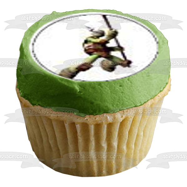 Teenage Mutant Ninja Turtles Donatello Michaelangelo Leonardo and  Raphael with the Tmnt Logo Edible Cupcake Topper Images ABPID03876