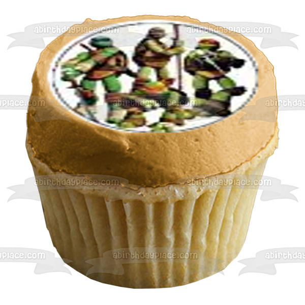 Teenage Mutant Ninja Turtles Donatello Michaelangelo Leonardo and  Raphael with the Tmnt Logo Edible Cupcake Topper Images ABPID03876