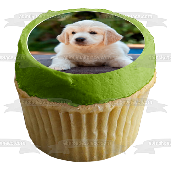 Puppies Pugs Dalmatians and Golden Retrievers Edible Cupcake Topper Images ABPID03938