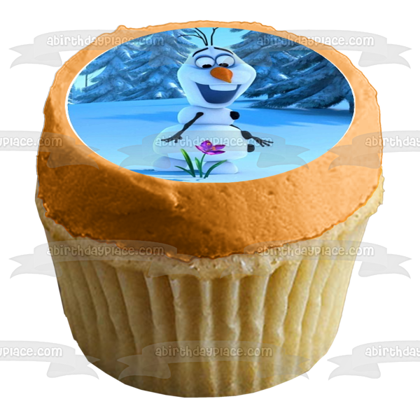 Frozen Anna Elsa Hans Olaf and Kristoff Edible Cupcake Topper Images ABPID05331