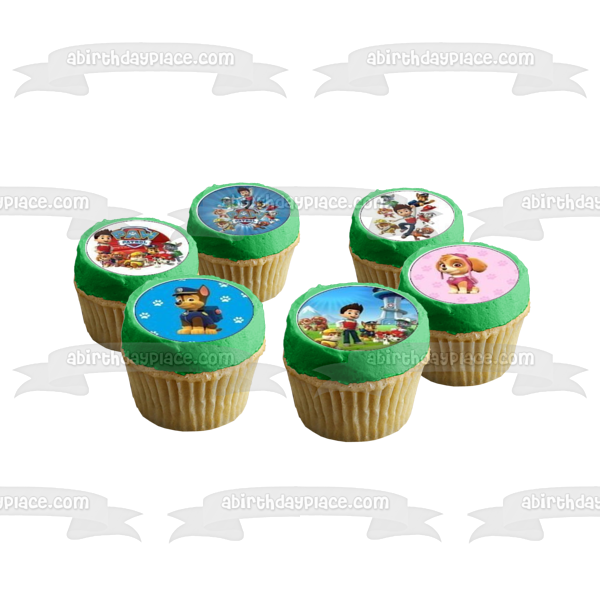 Paw Patrol Chase Everest Tracker Skye Zuma Marshall Rocky and Ryder Edible Cupcake Topper Images ABPID05857