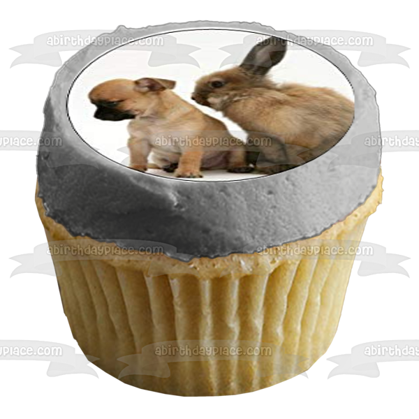 Surtido de animales, gatos, cerdos, caballos, perros, puercoespines, pájaros, conejos, adornos comestibles para cupcakes, imágenes ABPID49822 