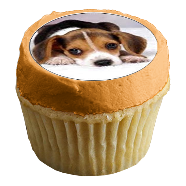 Surtido de animales, gatos, cerdos, caballos, perros, puercoespines, pájaros, conejos, adornos comestibles para cupcakes, imágenes ABPID49822 