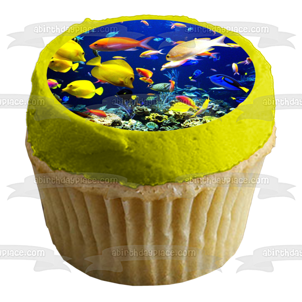 Fish Underwater Sea Life of Tropical Fish Edible Cake Topper Image ABPID05132