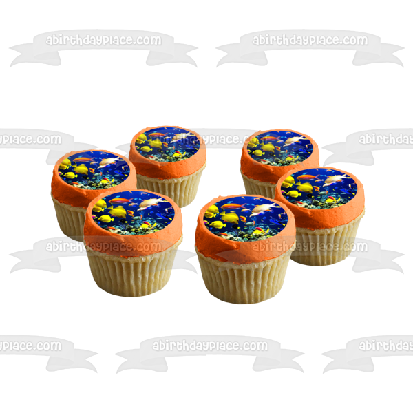 Fish Underwater Sea Life of Tropical Fish Edible Cake Topper Image ABPID05132