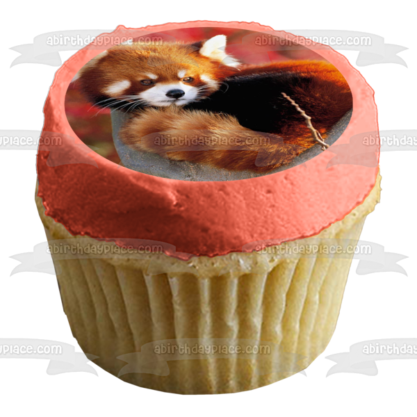 Imagen comestible para decoración de tarta con panda rojo en un árbol ABPID49650 