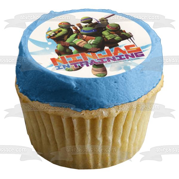 Teenage Mutant Ninja Turtles Tmnt Leonardo Donatello Raphael and Michelangelo Ninjas In Training Edible Cake Topper Image ABPID04696