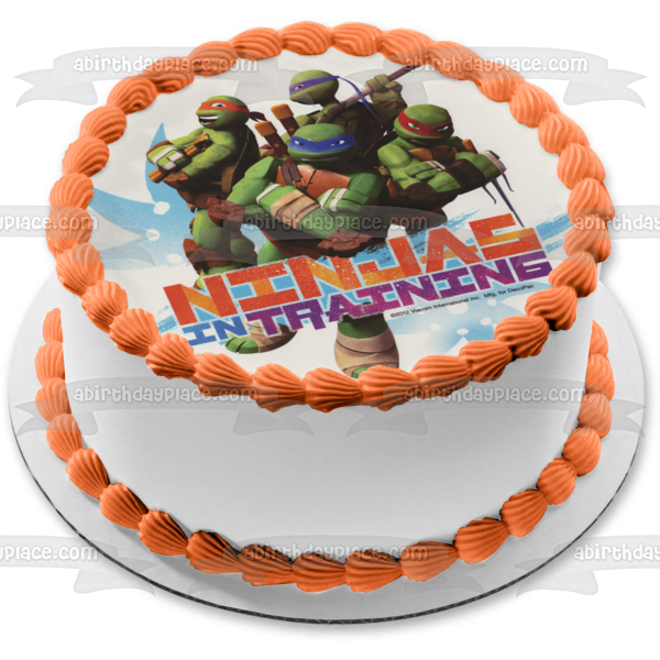 Teenage Mutant Ninja Turtles Tmnt Leonardo Donatello Raphael and Michelangelo Ninjas In Training Edible Cake Topper Image ABPID04696