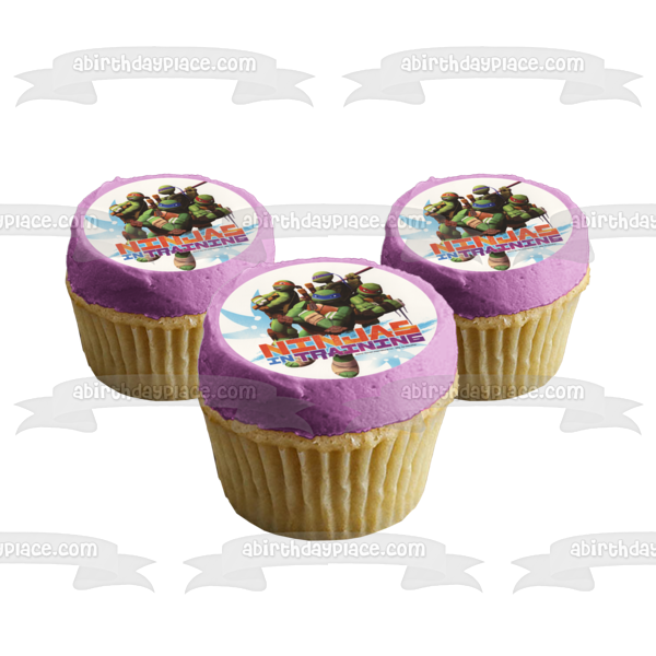 Teenage Mutant Ninja Turtles Tmnt Leonardo Donatello Raphael and Michelangelo Ninjas In Training Edible Cake Topper Image ABPID04696