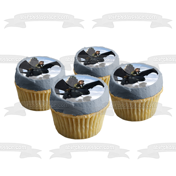 How to Train Your Dragon Toothless and Hiccup Flying Edible Cake Topper Image ABPID07038