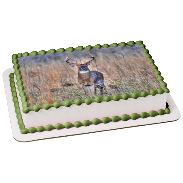 Hunting Deer In a  Brush Field Edible Cake Topper Image ABPID07162