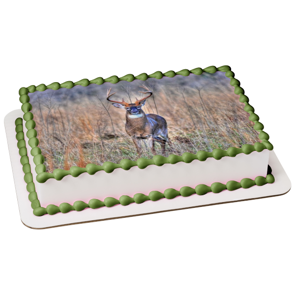 Amazon.com: Hunting Cake Topper for Boys Men Duck Hunting Birthday Party  Supplies Deer Hunting Birthday Decorations Hunter Dog Camping Party Decor  Glitter Go Hunting Birthday Cake Decorations : Grocery & Gourmet Food